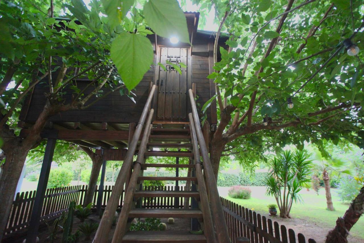 ブラナス Naturetreehouse Casa Sobre Los Arbolesゲストハウス エクステリア 写真