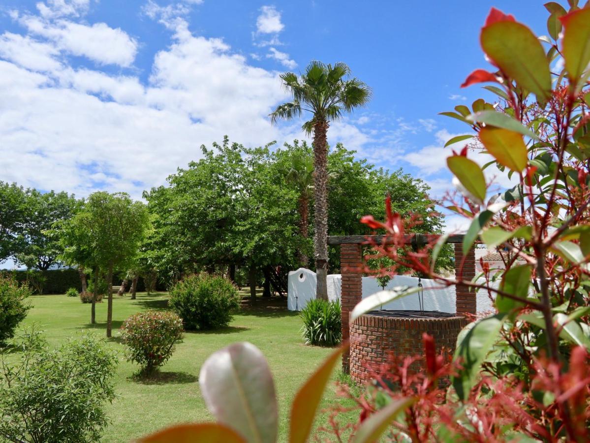 ブラナス Naturetreehouse Casa Sobre Los Arbolesゲストハウス エクステリア 写真
